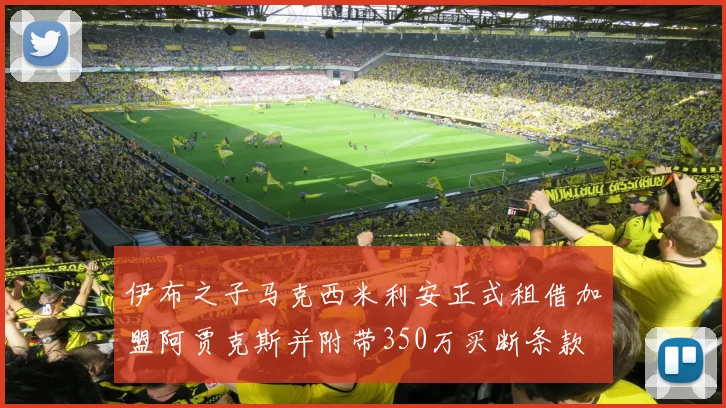 伊布之子马克西米利安正式租借加盟阿贾克斯并附带350万买断条款