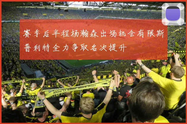 赛季后半程杨瀚森出场机会有限斯普利特全力争取名次提升