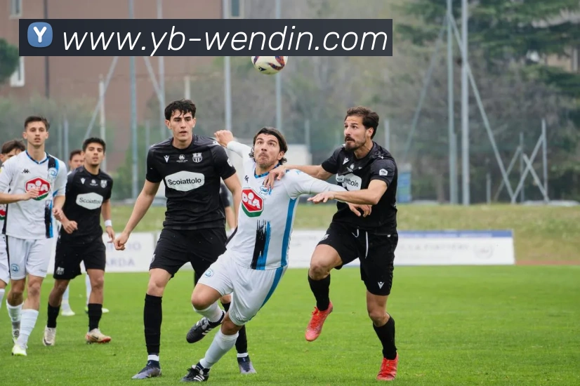 问鼎娱乐APP 体育赛事宣传图